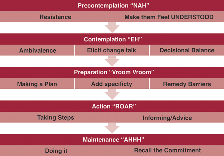 A chart for Stages of change from top to bottom are as follows:
• Precontemplation (nah): Resistance and make them feel understood.
• Contemplation (eh): Ambivalence, elicit change talk, and decisional balance.
• Preparation (vroom vroom): Making a plan, add specificity, and remedy barriers.
• Action (roar): Taking steps and informing or advice.
• Maintenance (ahhh): Doing it and recall the commitment.