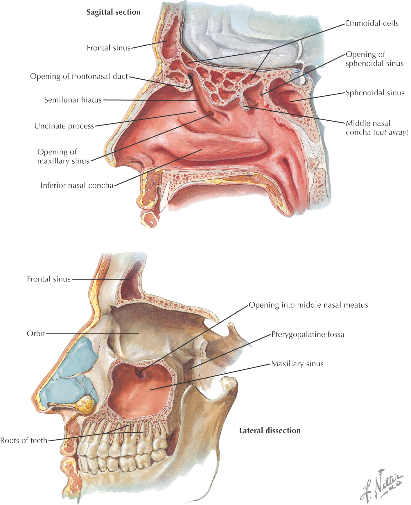 images