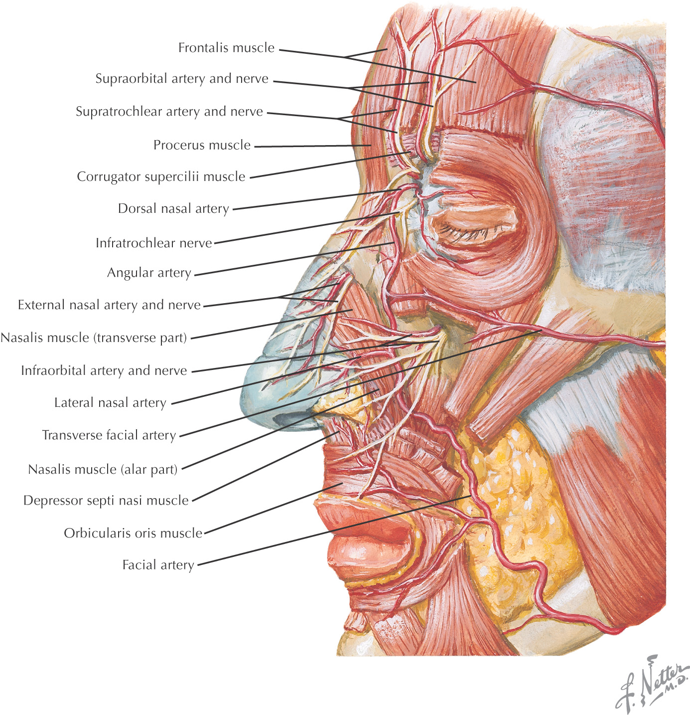 images