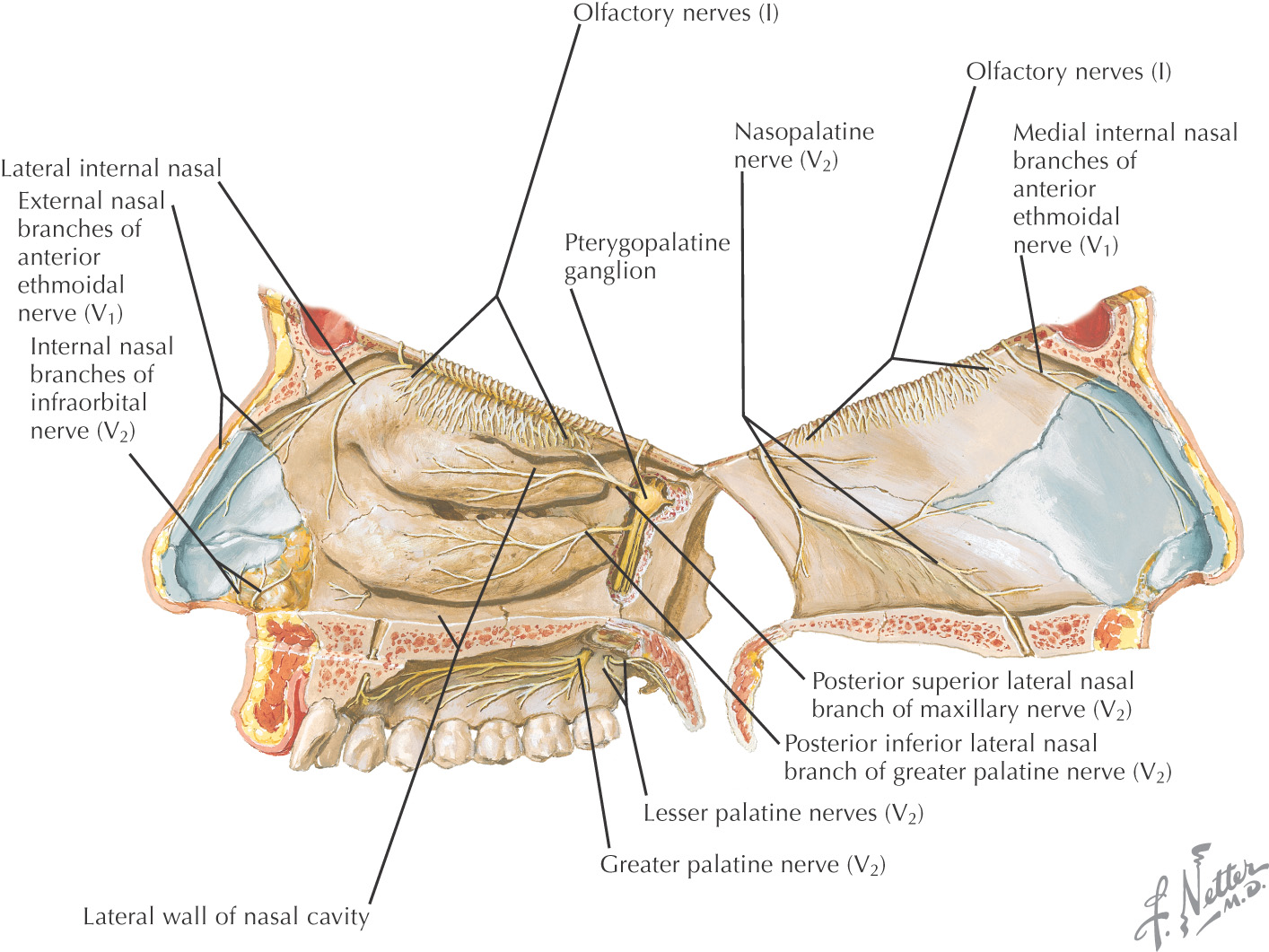 images