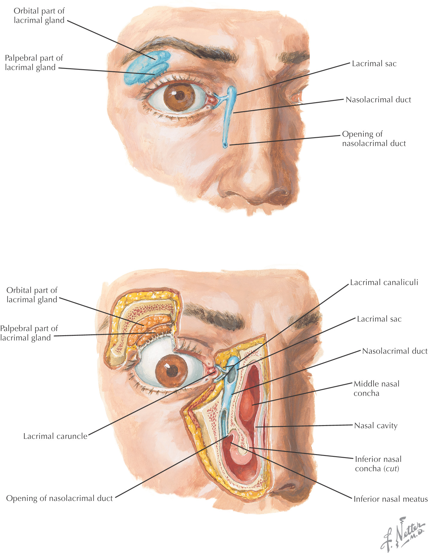 images