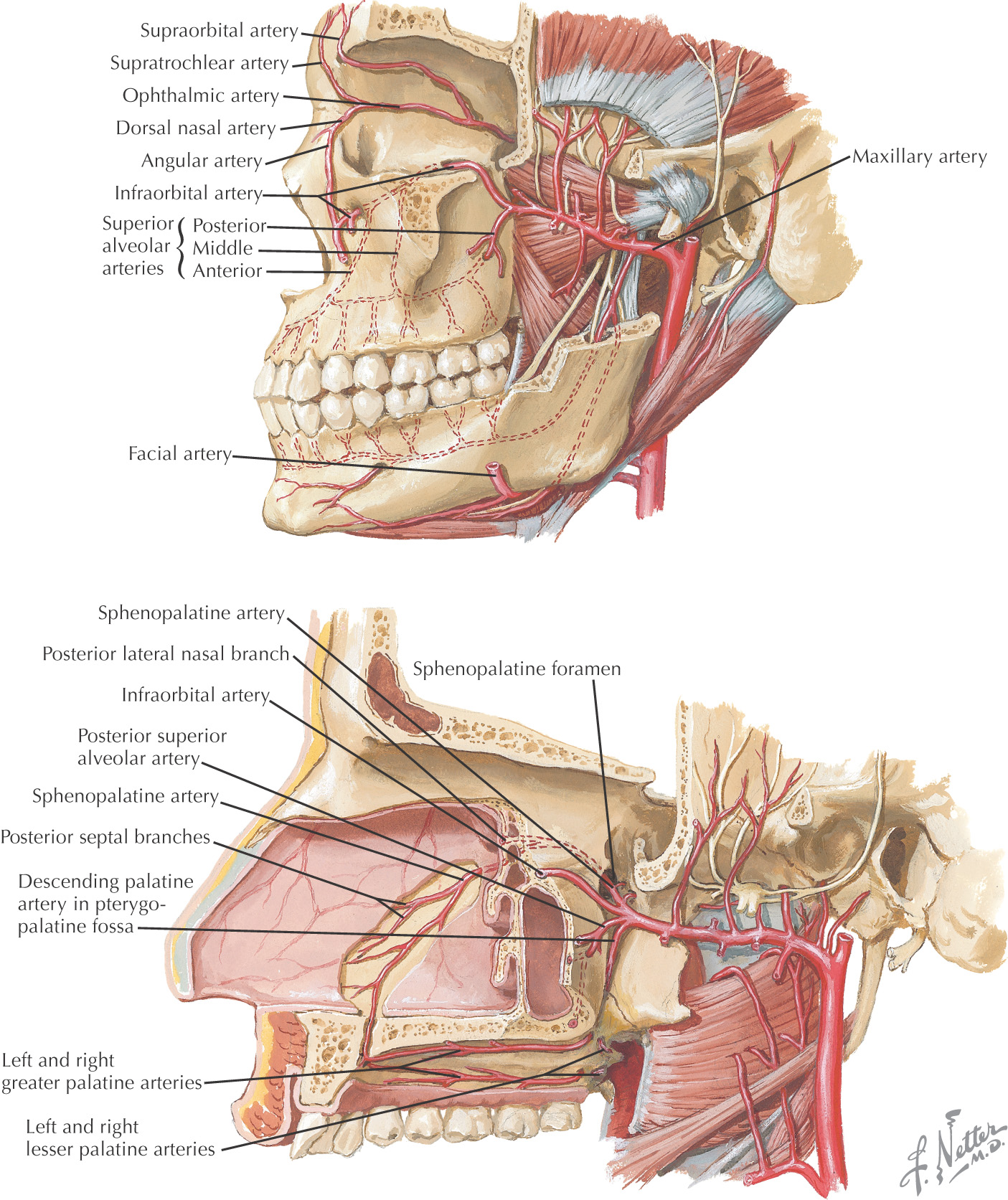 images