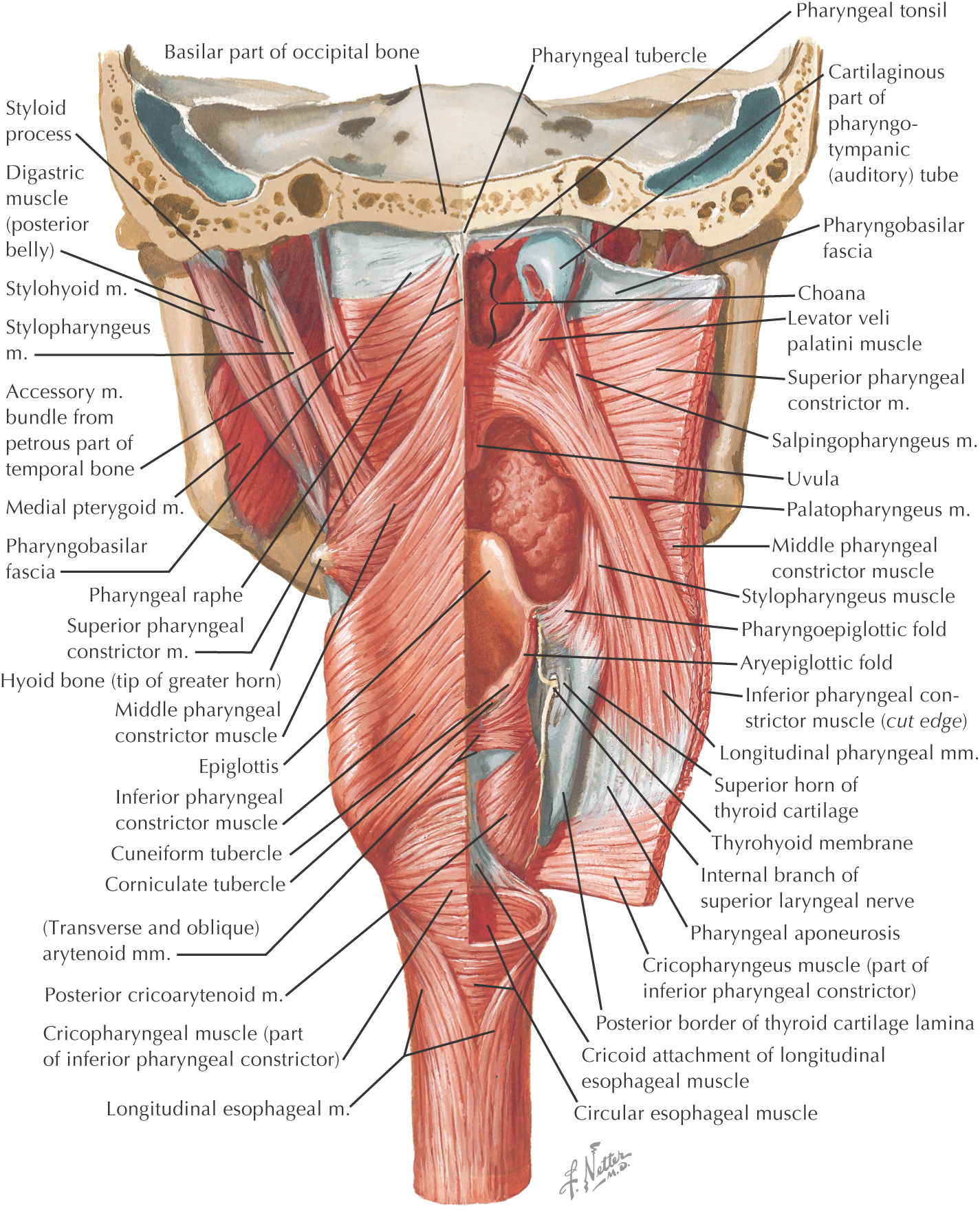 images