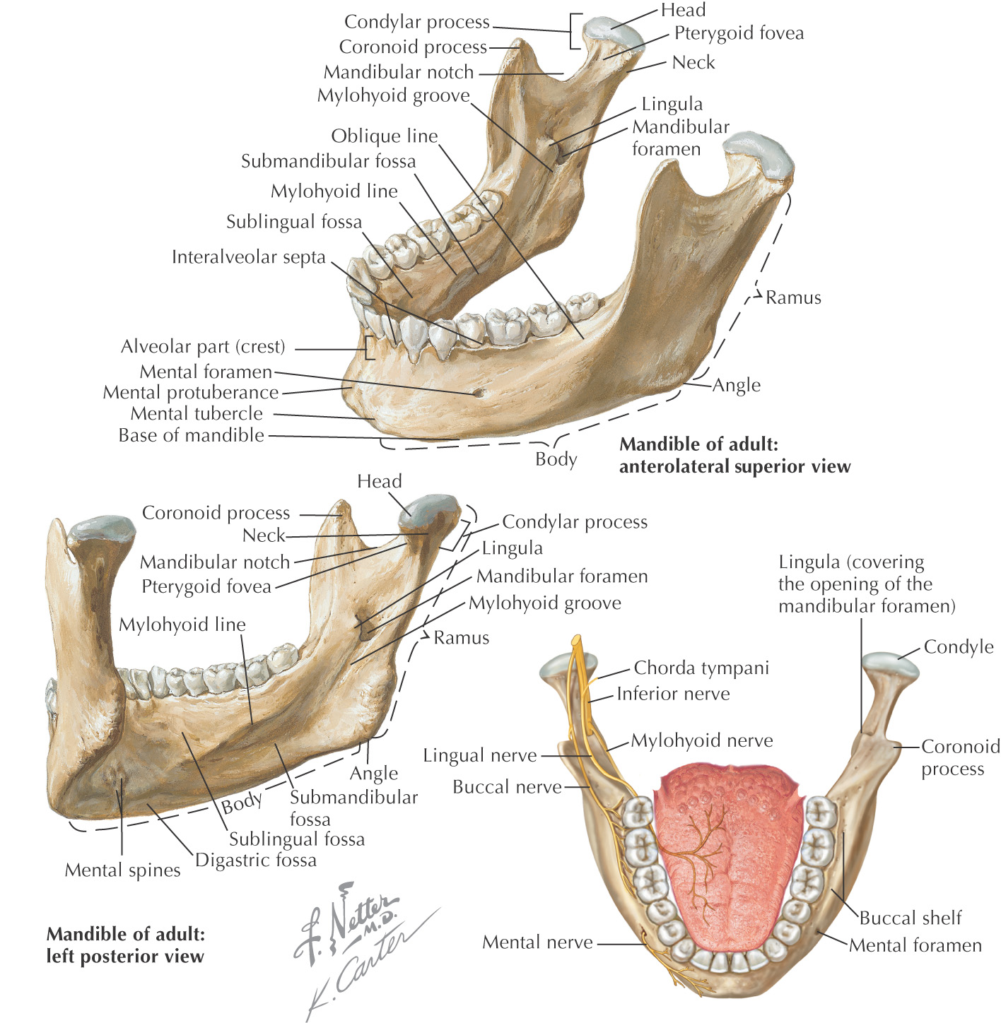 images