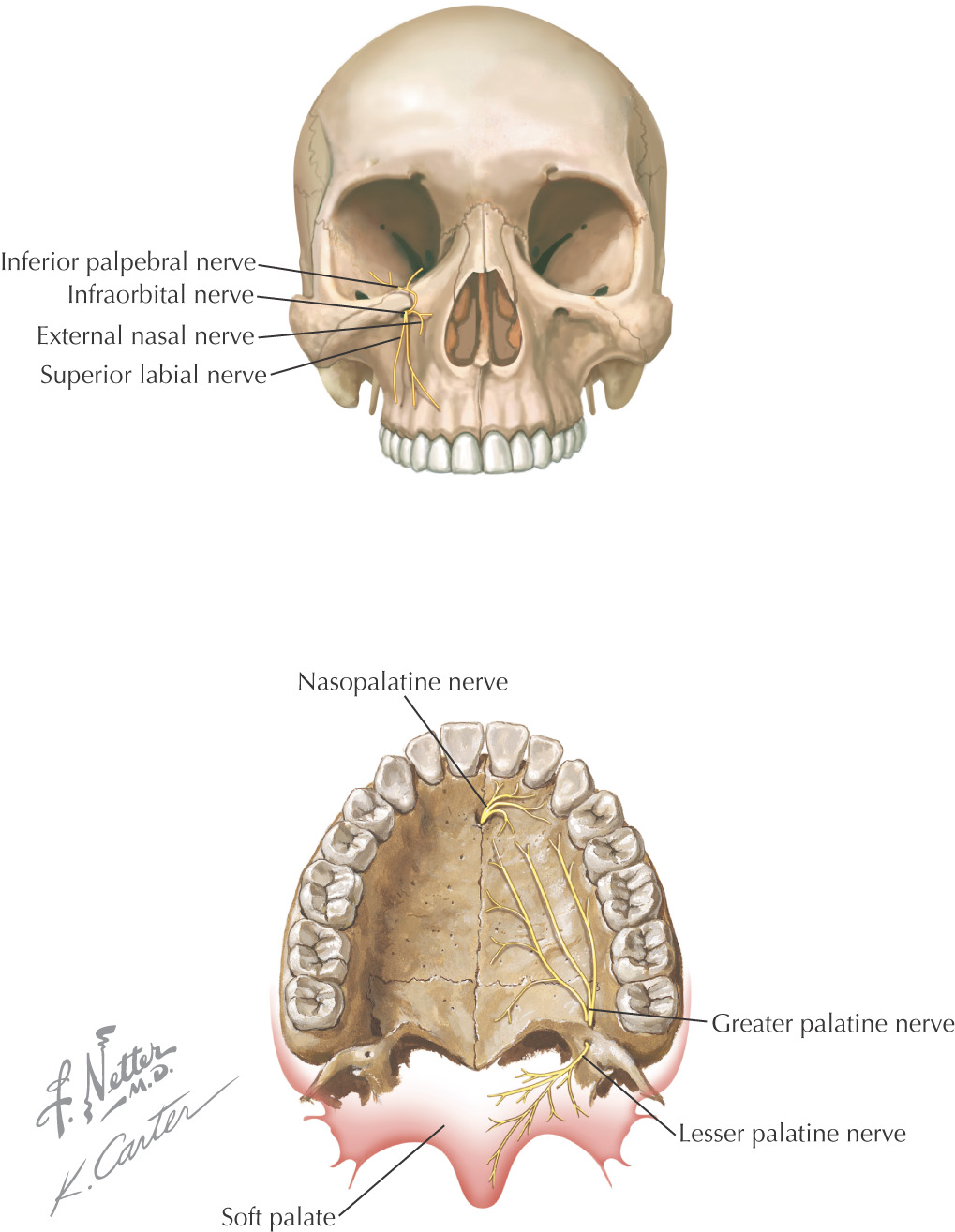 images
