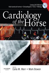 Cardiology of the Horse