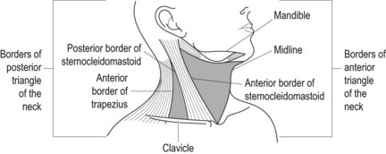 Clinical Cases and OSCEs in Surgery