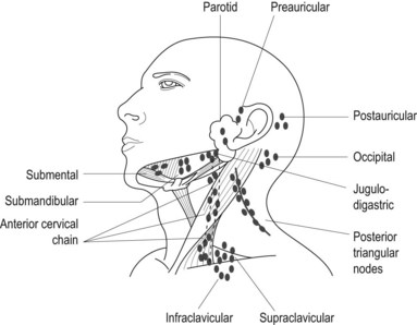 Clinical Cases and OSCEs in Surgery