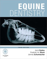 Equine Dentistry