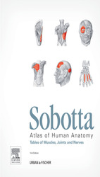 Sobotta Tables of Muscles, Joints and Nerves English/Latin