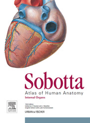 Sobotta Atlas of Anatomy, Vol. 2, 15th ed. English/Latin