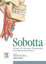 Sobotta Atlas of Anatomy, Vol. 3, 15th ed. English/Latin