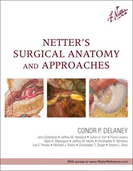 Netter's Surgical Anatomy and Approaches