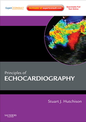 Principles of Echocardiography and Intracardiac Echocardiography