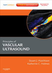 Principles of Vascular and Intravascular Ultrasound