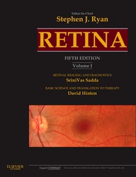 Retina