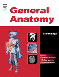 General Anatomy