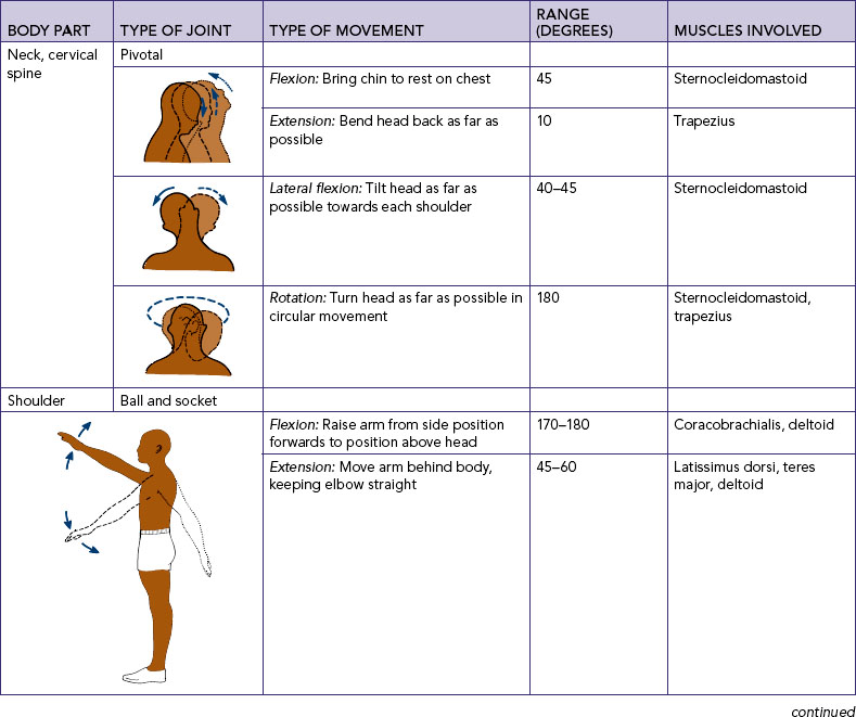 POTTER & PERRY’S Fundamentals of Nursing