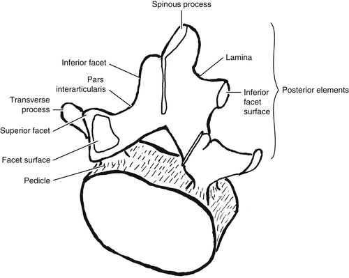A Manual of Orthopaedic Terminology