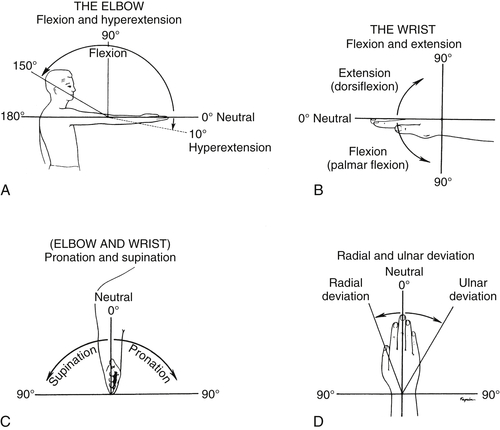 A Manual Of Orthopaedic Terminology