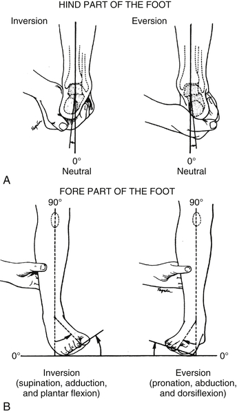 A Manual Of Orthopaedic Terminology