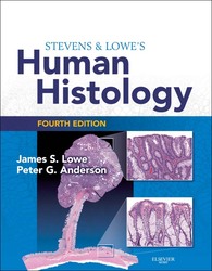 Stevens & Lowe's Human Histology