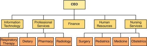 f08-02-9780323185776