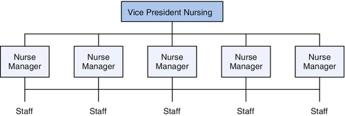 f08-05-9780323185776