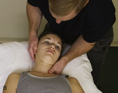 Manual Physical Therapy of the Spine