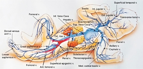 f15-01-9780323225908