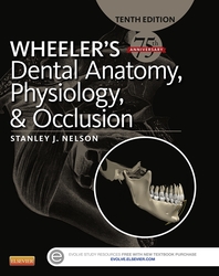 Wheeler's Dental Anatomy, Physiology and Occlusion