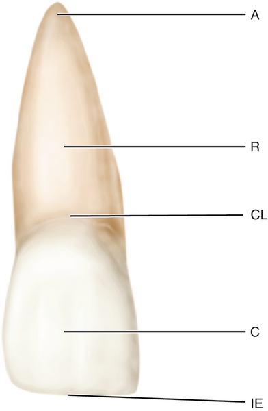 f01-03-9780323263238