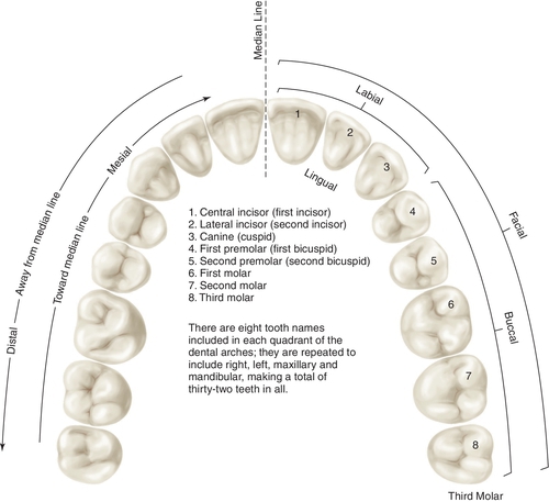 f01-08-9780323263238