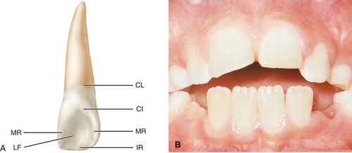 f01-10ab-9780323263238