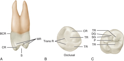f01-11-9780323263238
