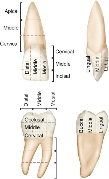 f01-13-9780323263238
