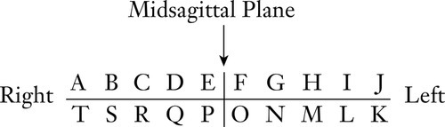 u01-01-9780323263238