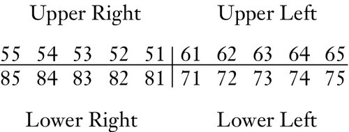 u01-05-9780323263238