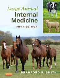 Large Animal Internal Medicine