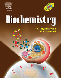 Metabolism of nucleotides