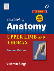 vol 1: Superior Vena Cava, Aorta, Pulmonary Trunk, and Thymus